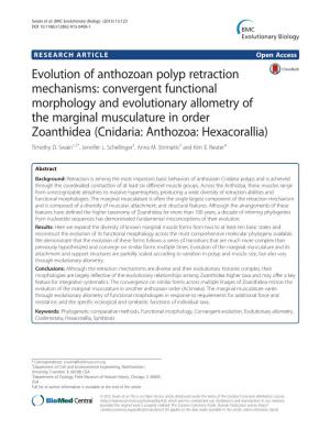 Evolution of Anthozoan Polyp Retraction Mechanisms: Convergent