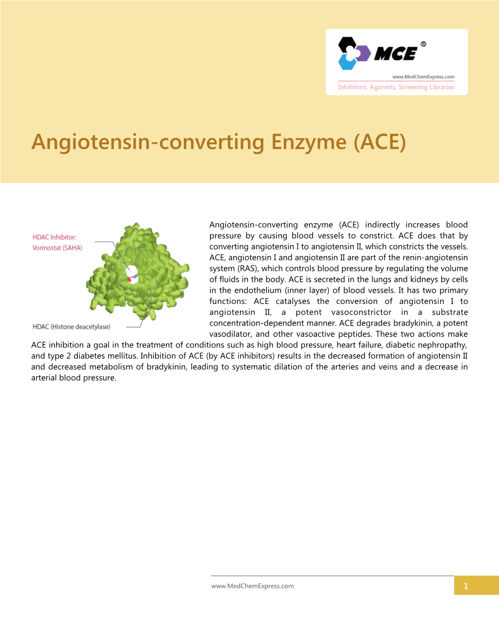 Angiotensin-Converting Enzyme (ACE)