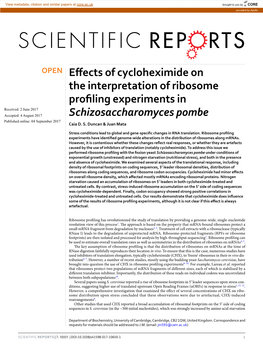 Effects of Cycloheximide on the Interpretation of Ribosome Profiling