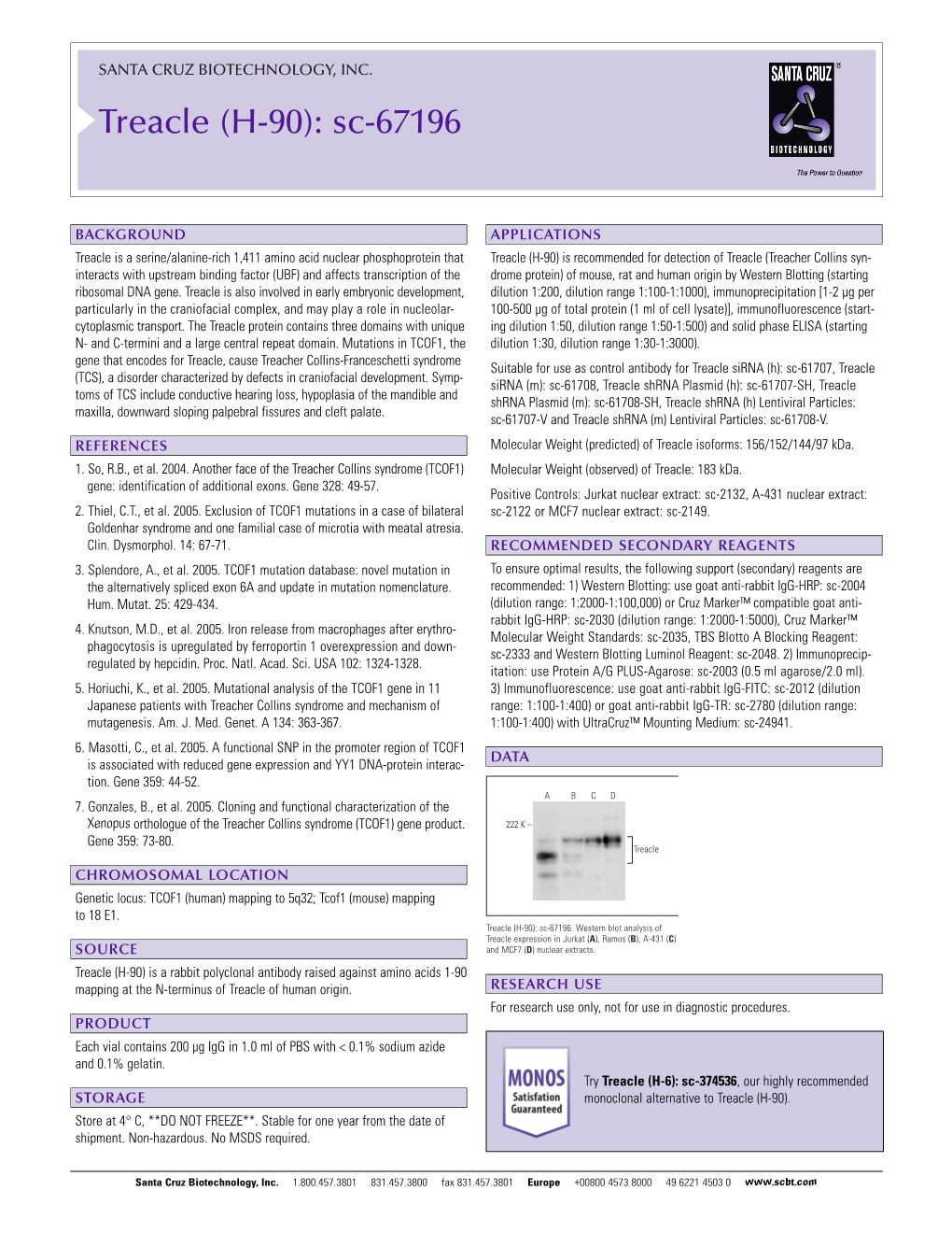 Datasheet Blank Template