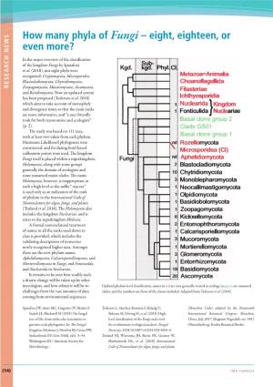 How Many Phyla of Fungi – Eight, Eighteen, Or Even More?