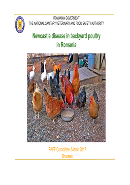 Newcastle Disease in Backyard Poultry in Romania
