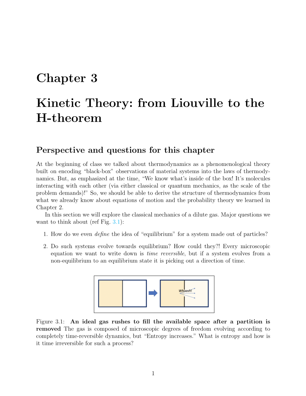 Chapter 3 Kinetic Theory: from Liouville to the H-Theorem