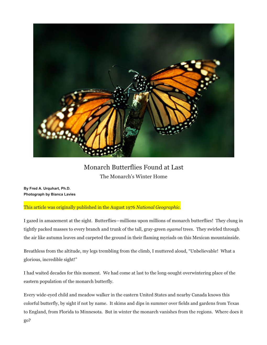 Monarch Butterflies Found at Last the Monarch's Winter Home