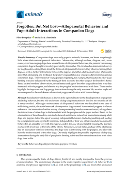 Forgotten, but Not Lost—Alloparental Behavior and Pup–Adult Interactions in Companion Dogs