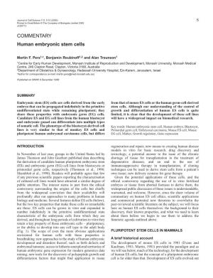 COMMENTARY Human Embryonic Stem Cells