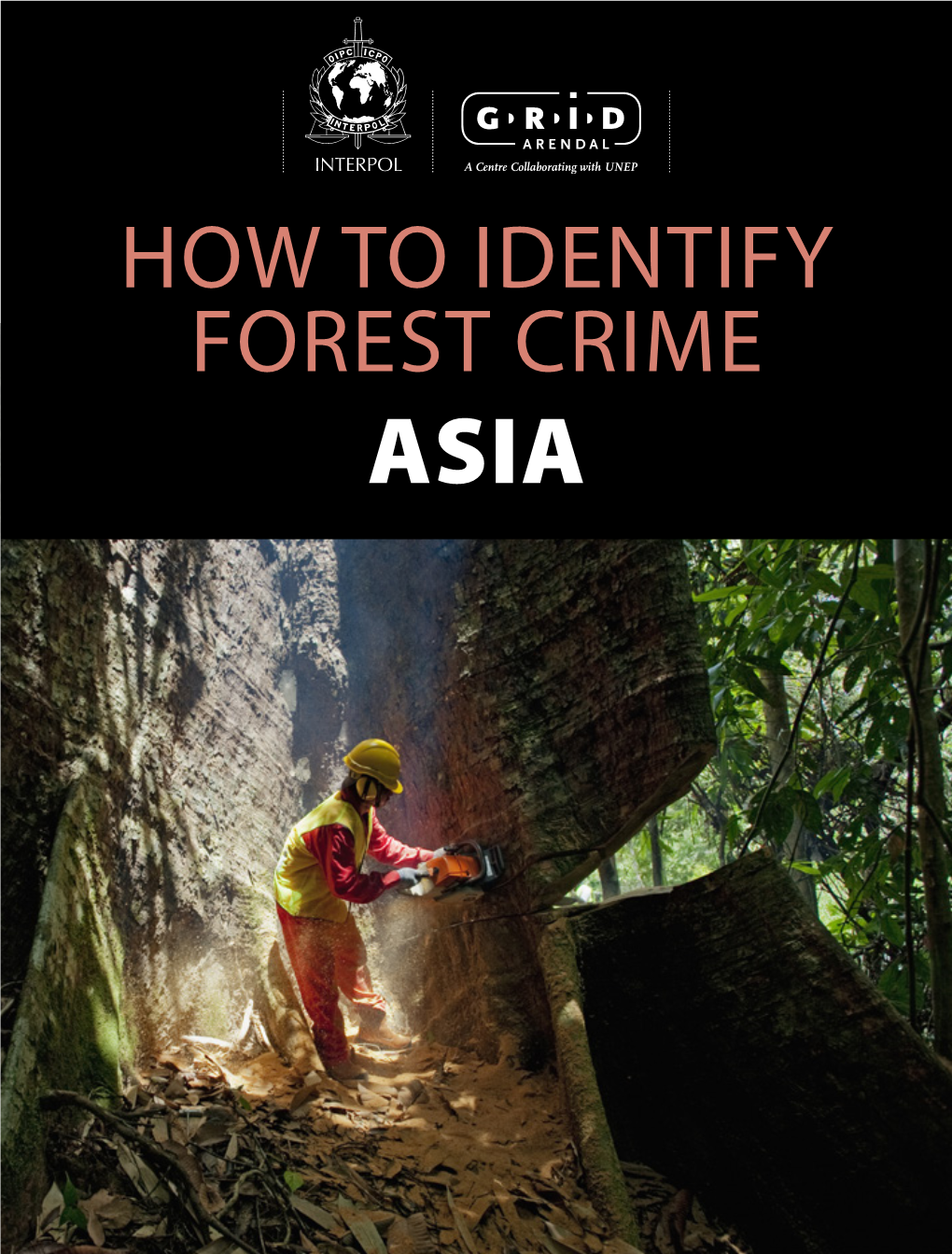 How to Identify Forest Crime Asia