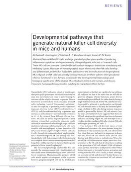 Developmental Pathways That Generate Natural-Killer-Cell Diversity in Mice and Humans