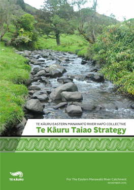 Te Kāuru Taiao Strategy