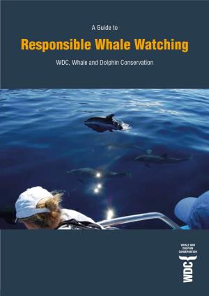 WDC Guide to Responsible Whale Watching