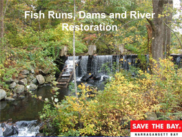Fish Runs, Dams and River Restoration Dams in New England