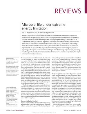Microbial Life Under Extreme Energy Limitation