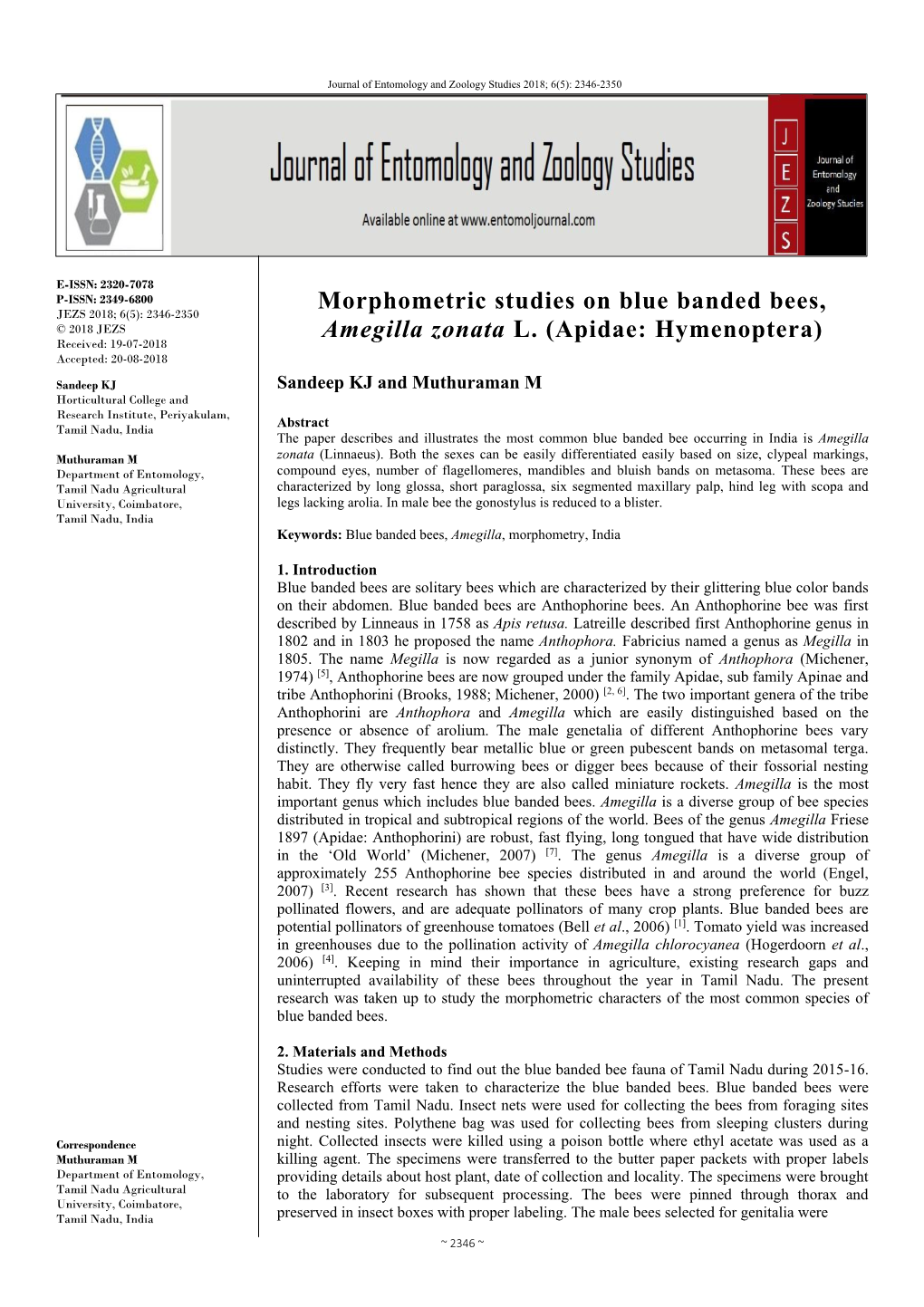 Morphometric Studies on Blue Banded Bees, Amegilla Zonata L. (Apidae