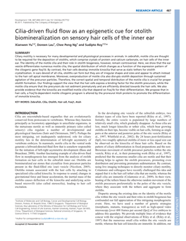 Cilia-Driven Fluid Flow As an Epigenetic Cue for Otolith Biomineralization On