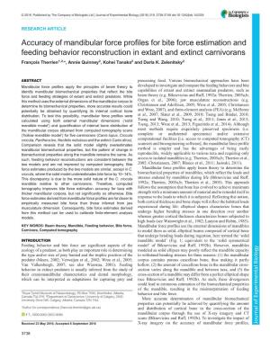 Accuracy of Mandibular Force Profiles for Bite Force Estimation and Feeding