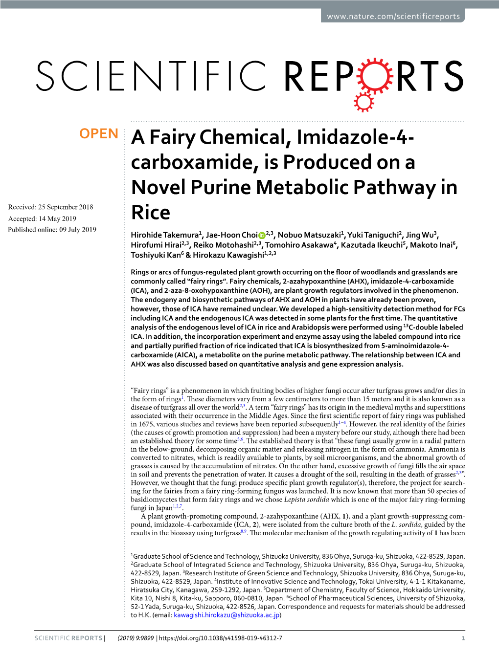 A Fairy Chemical, Imidazole-4-Carboxamide, Is