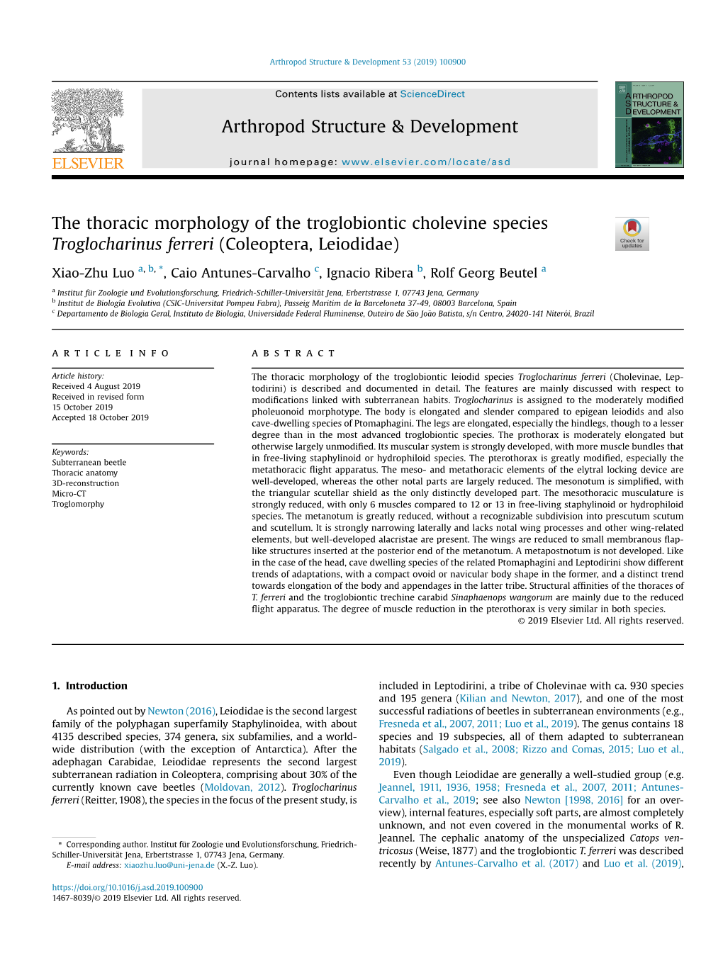 The Thoracic Morphology of the Troglobiontic Cholevine Species Troglocharinus Ferreri (Coleoptera, Leiodidae)