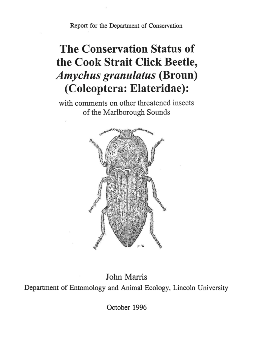 The Conservation Status of the Cook Strait Click Beetle, Amychus