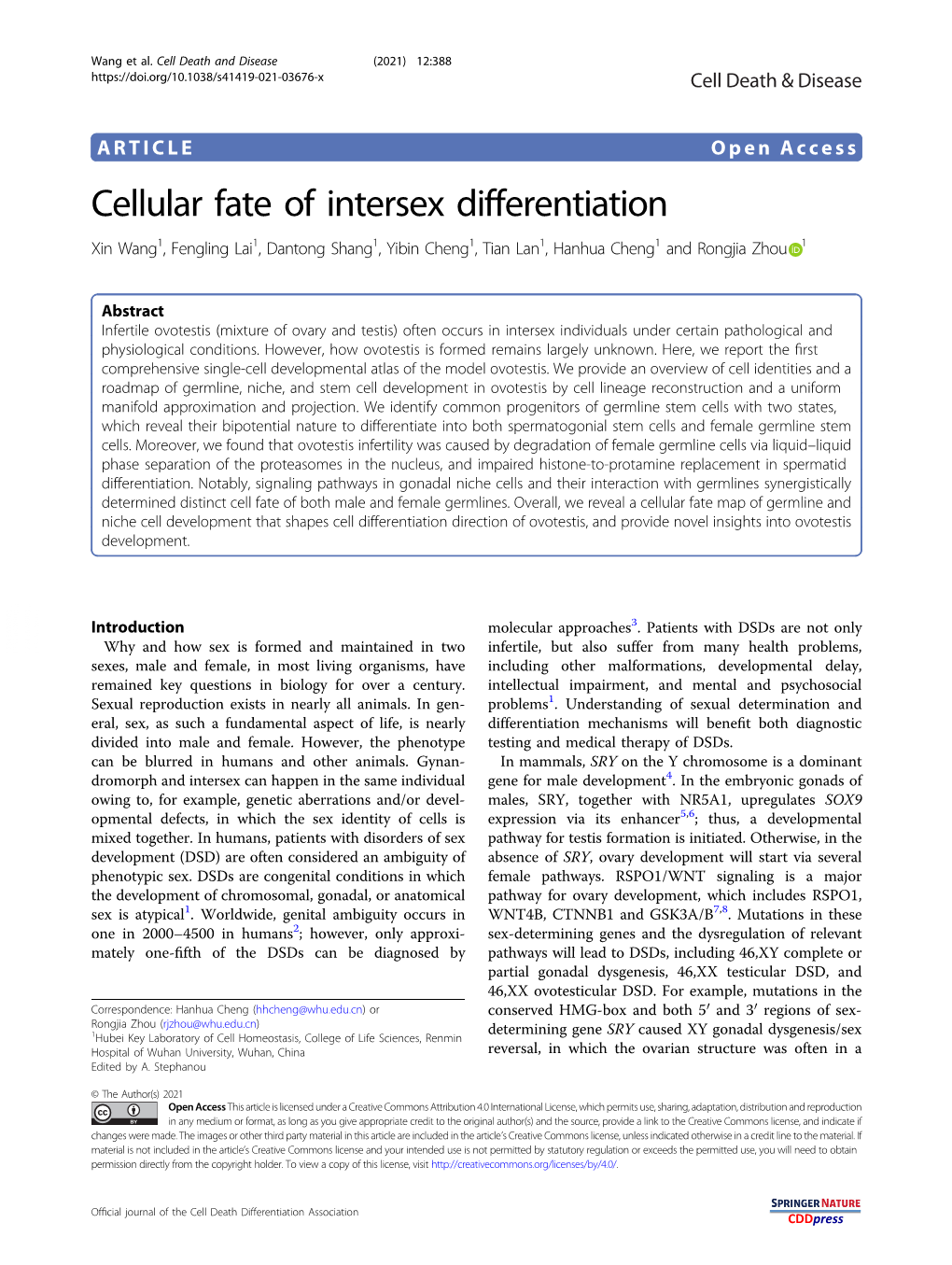Cellular Fate of Intersex Differentiation Xin Wang1, Fengling Lai1,Dantongshang1, Yibin Cheng1,Tianlan1, Hanhua Cheng1 and Rongjia Zhou 1