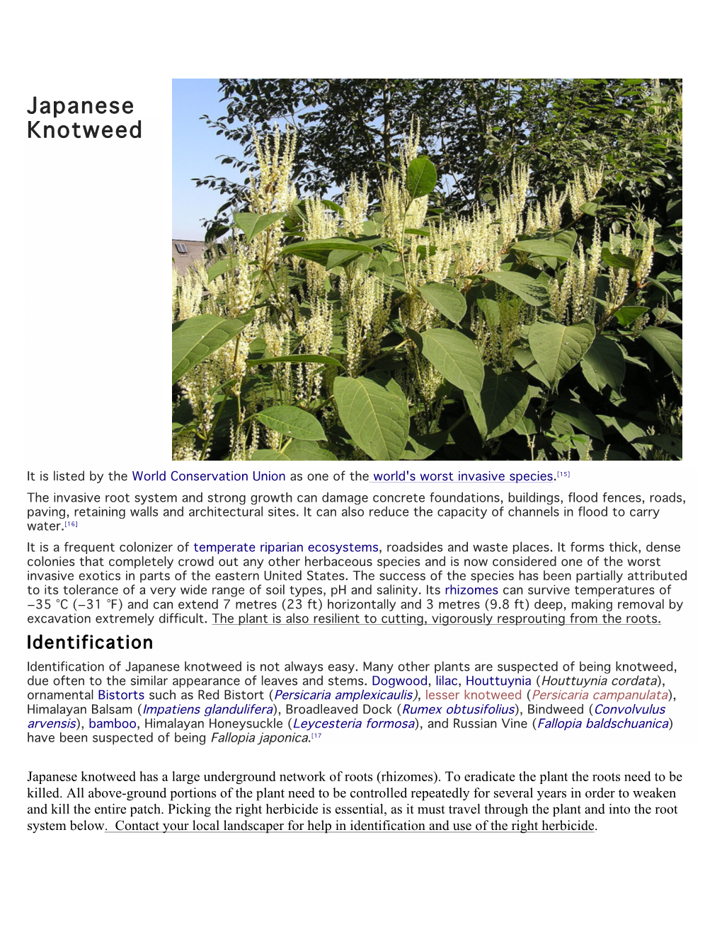 Japanese Knotweed (PDF)