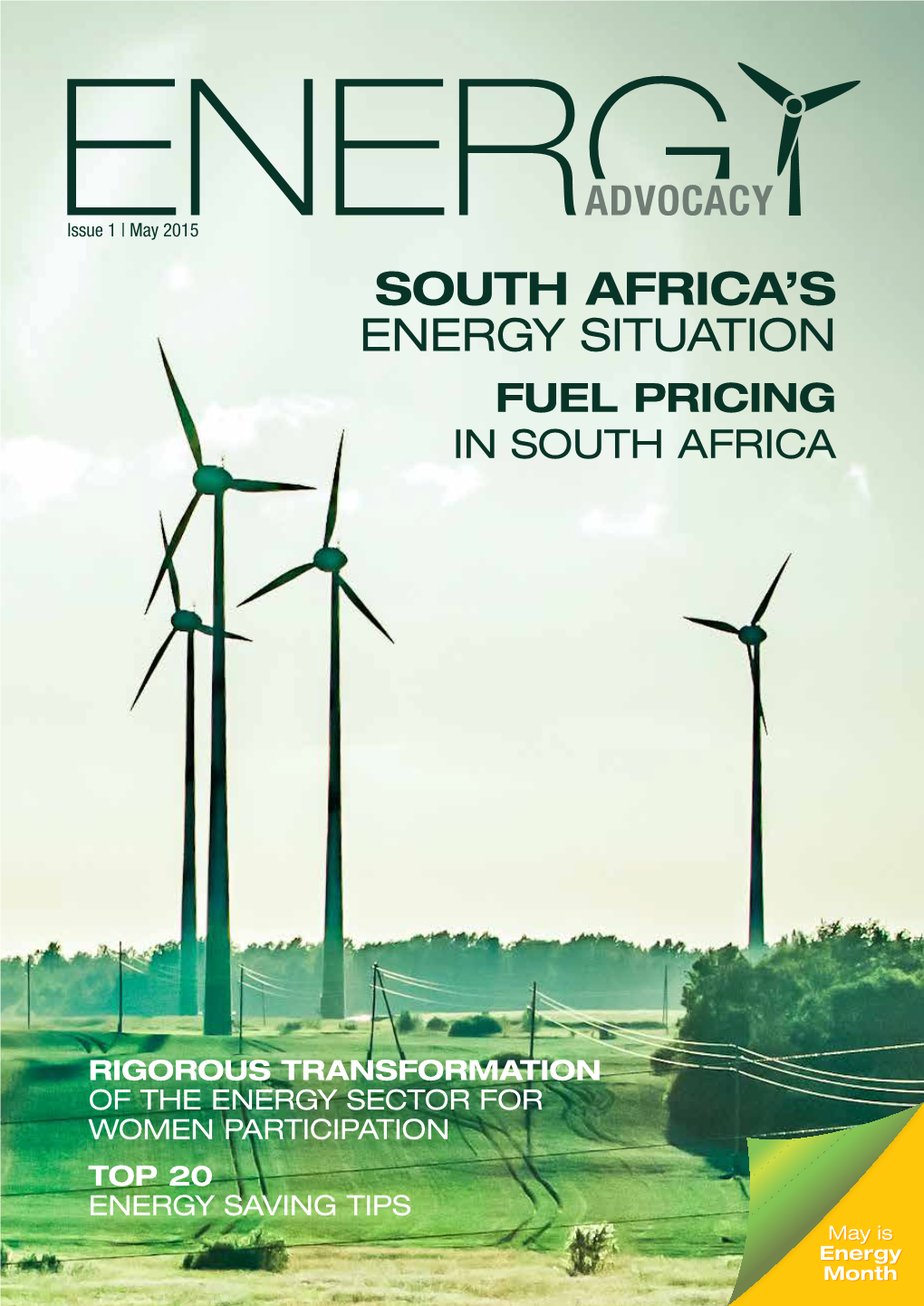 South Africa's Energy Situation