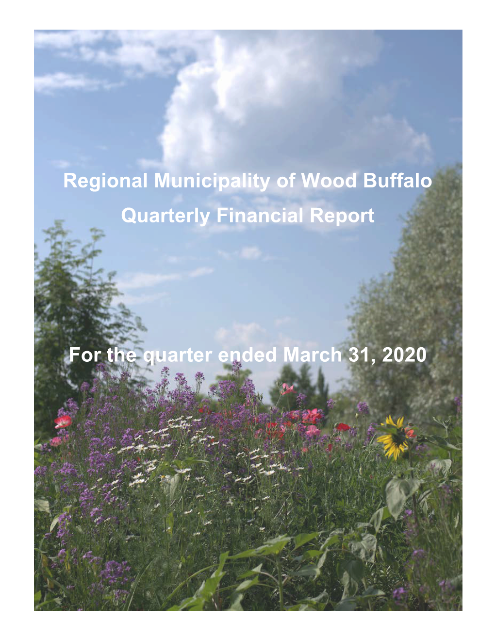 Regional Municipality of Wood Buffalo Quarterly Financial Report for The