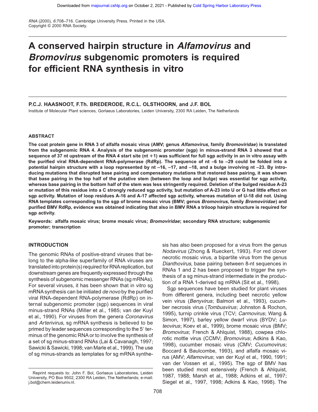 A Conserved Hairpin Structure in Alfamovirus and Bromovirus Subgenomic Promoters Is Required for Efficient RNA Synthesis in Vitro