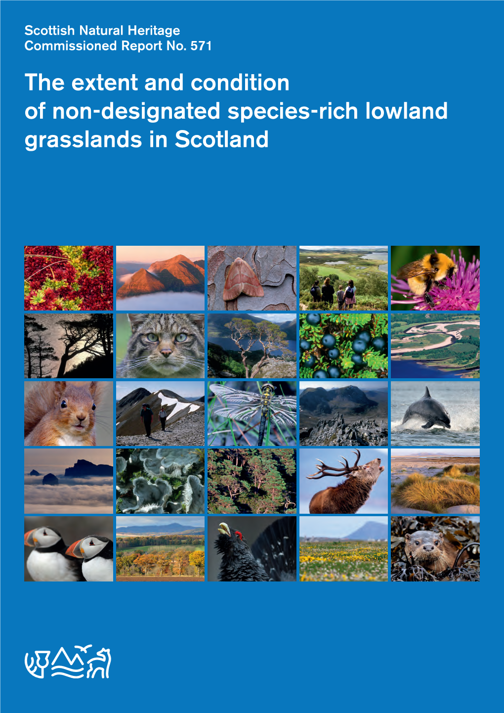 Literature Review of the History of Grassland