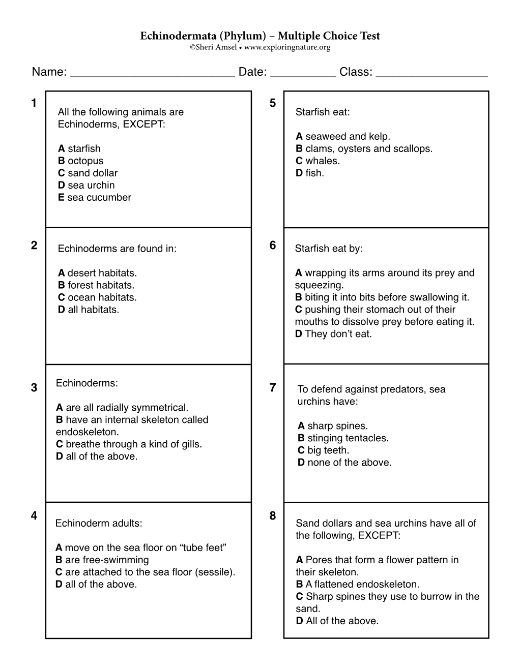 Echinodermata (Phylum) – Multiple Choice Test Name