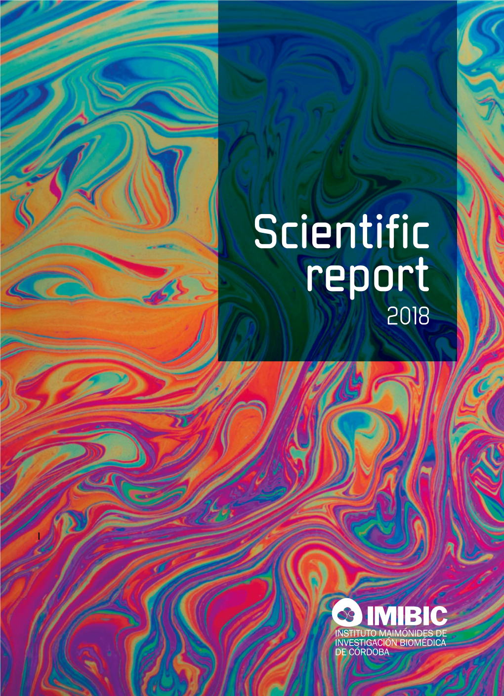 Scientific Report 2018 01 // DIRECTOR’S FOREWORD Pg