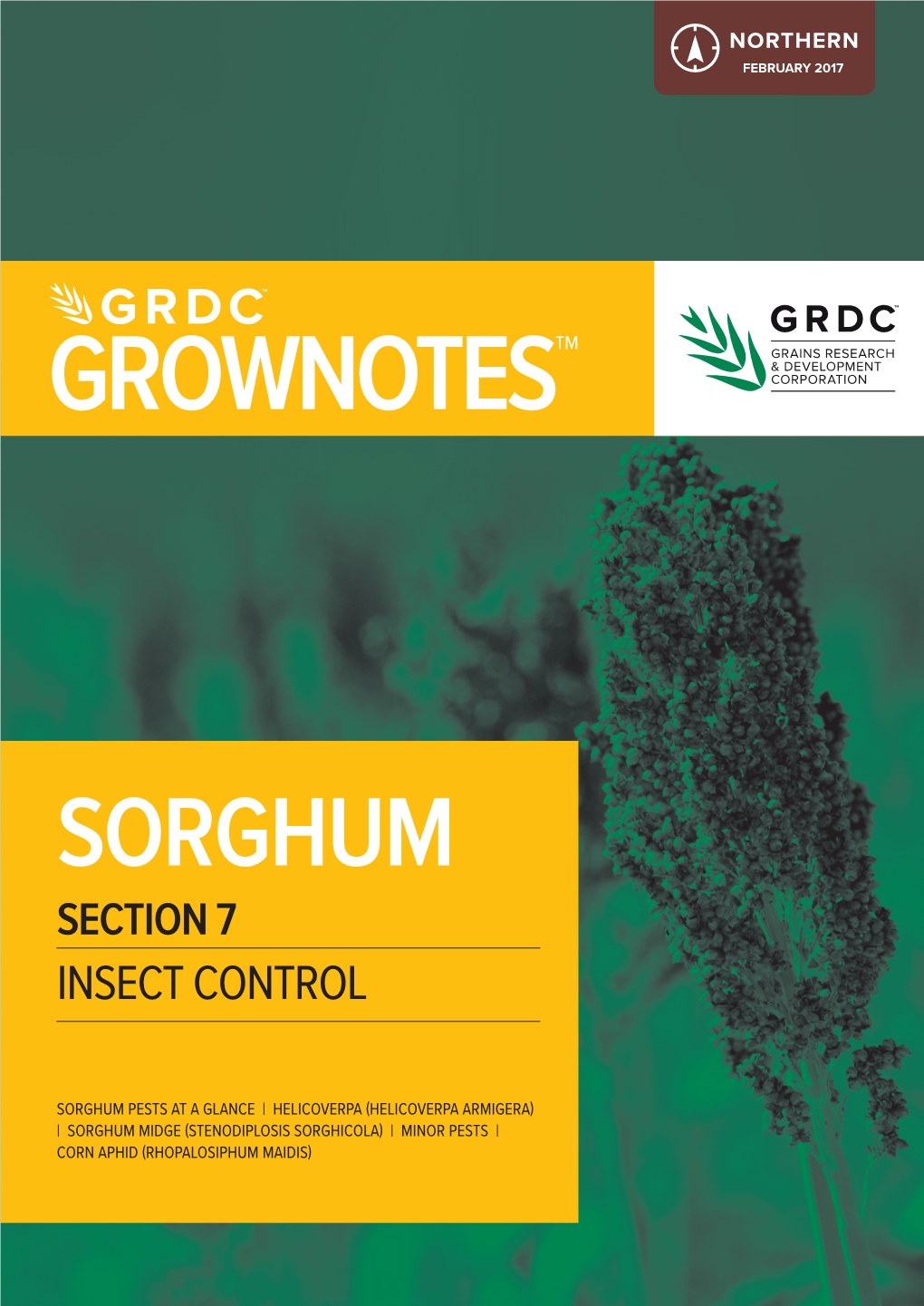 Sorghum North