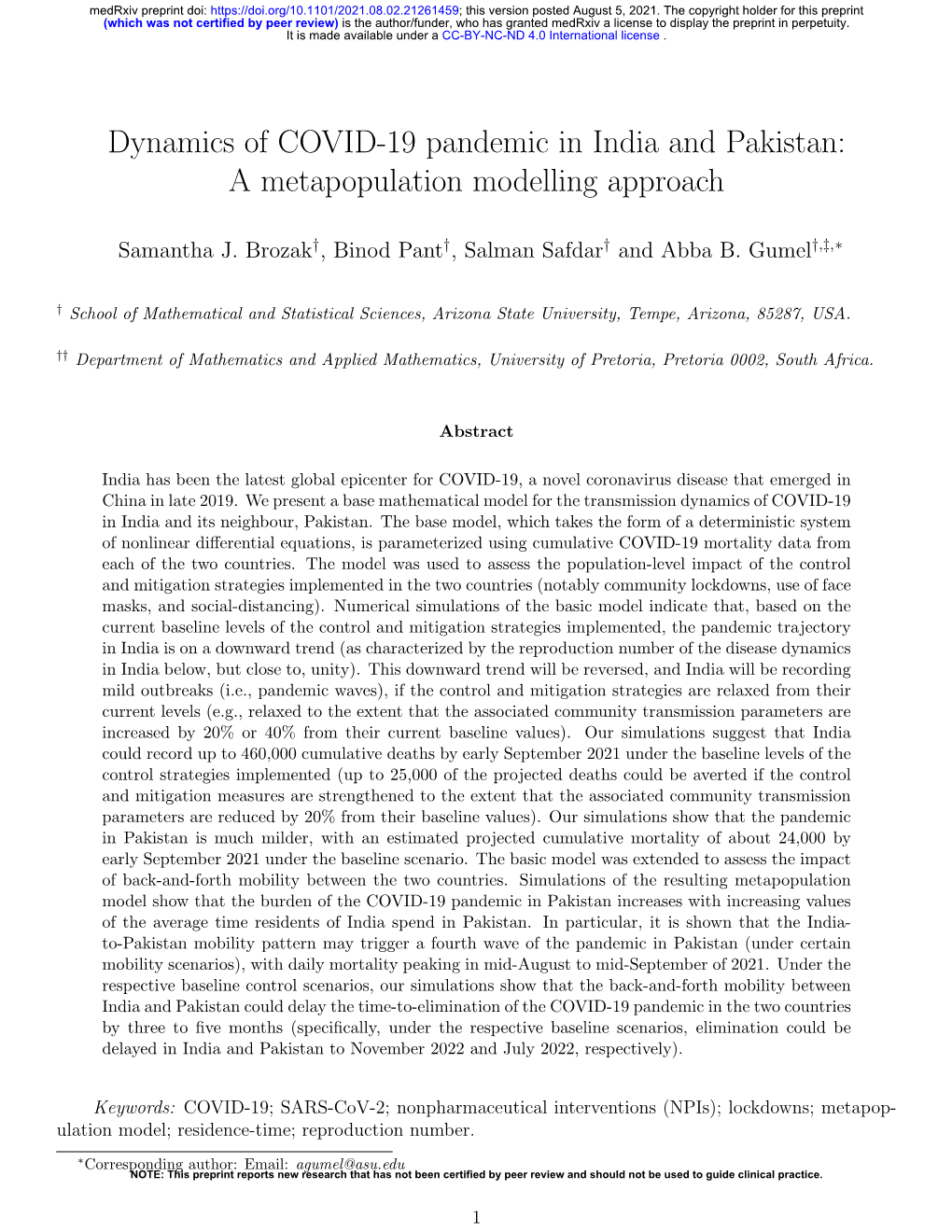 Dynamics of COVID-19 Pandemic in India and Pakistan: a Metapopulation Modelling Approach