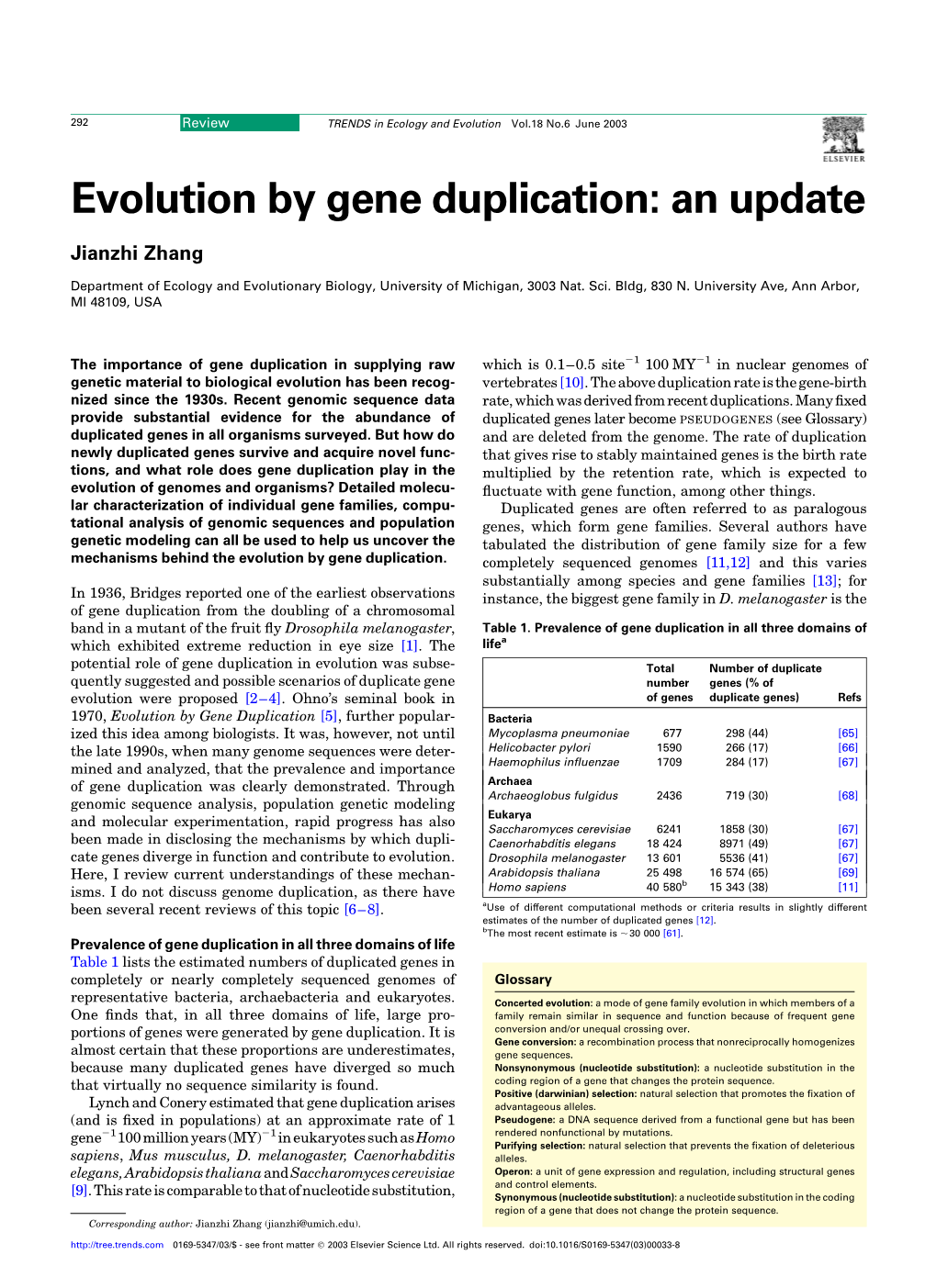 Evolution by Gene Duplication: an Update