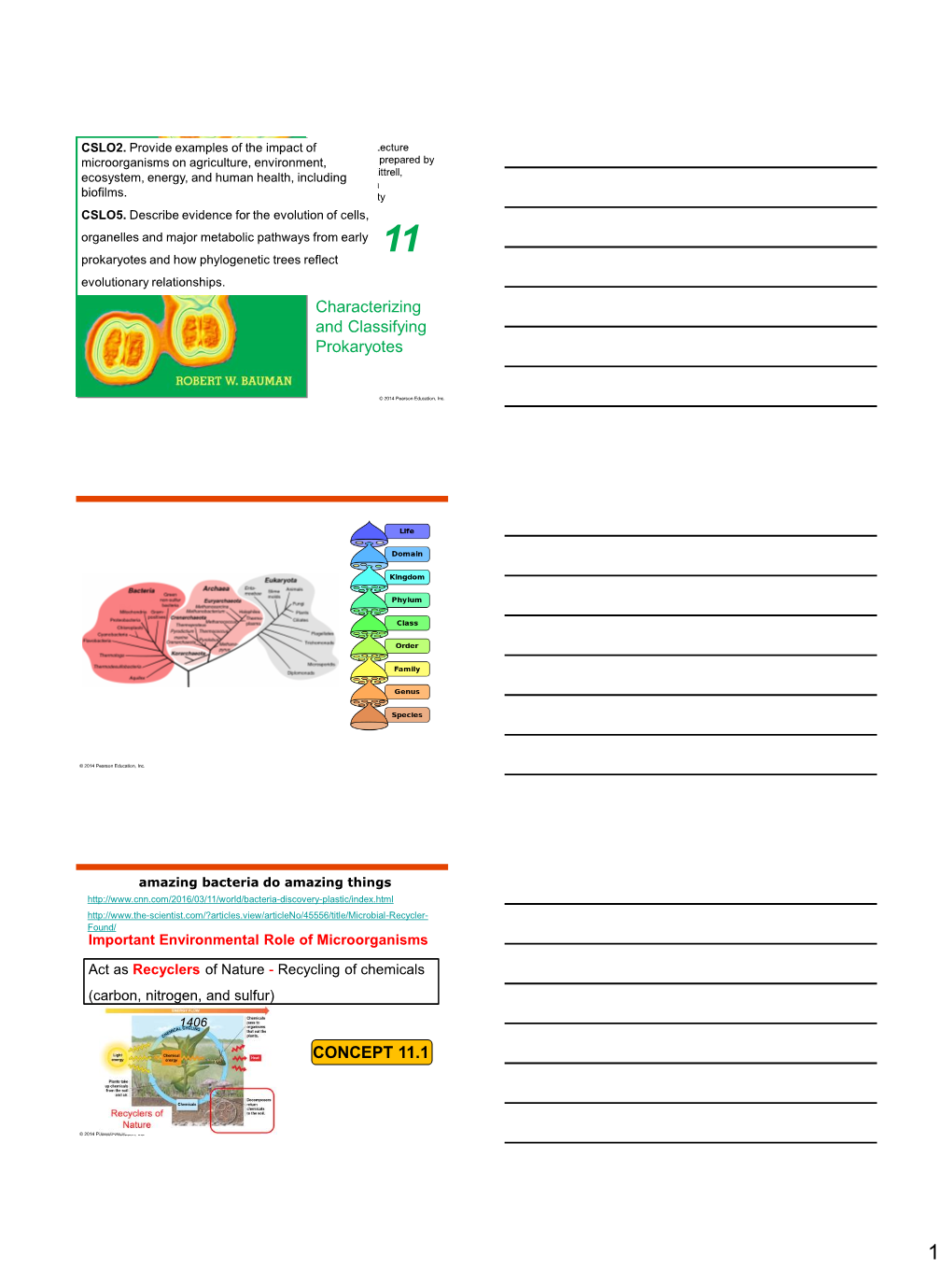 Characterizing and Classifying Prokaryotes CONCEPT 11.1