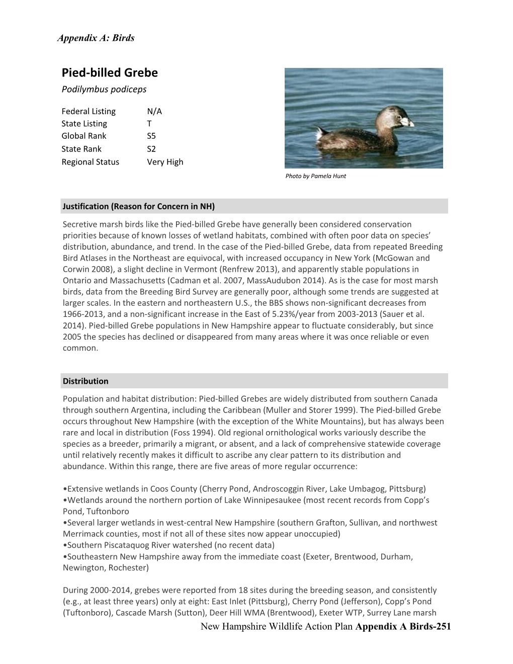 Pied-Billed Grebe