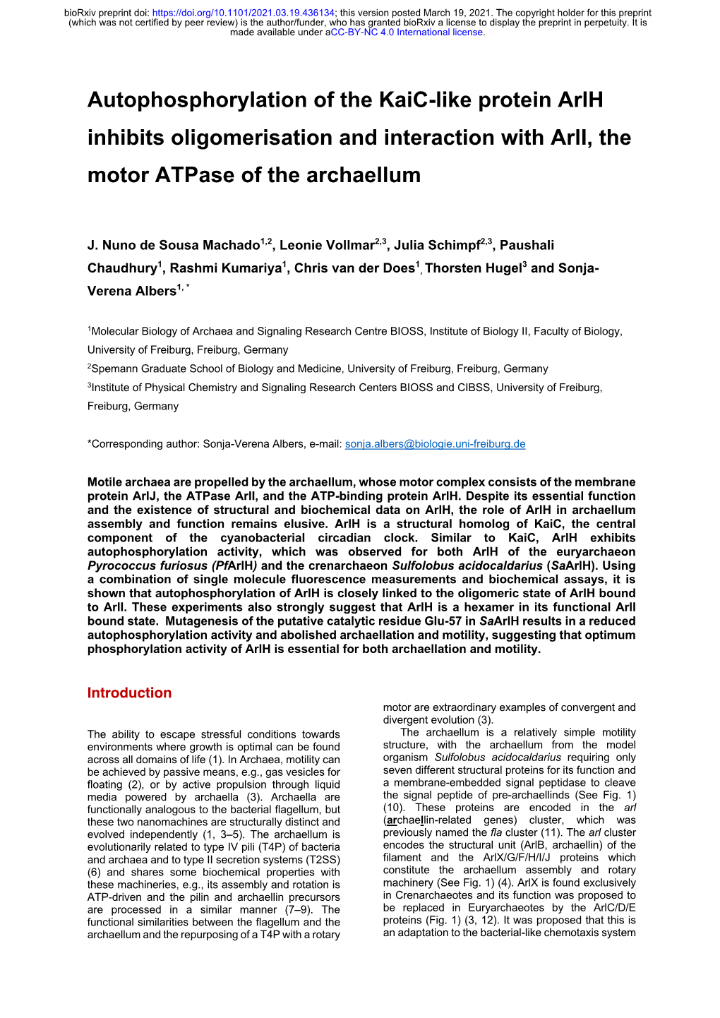 Autophosphorylation of the Kaic-Like Protein Arlh Inhibits Oligomerisation and Interaction with Arli, the Motor Atpase of the Archaellum