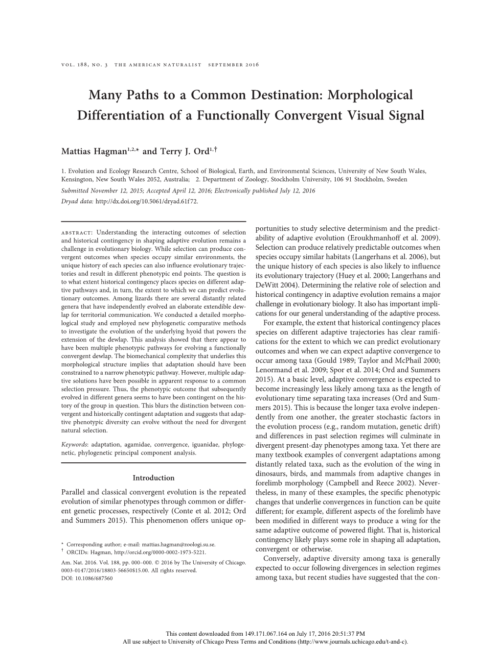 Many Paths to a Common Destination: Morphological Differentiation of a Functionally Convergent Visual Signal