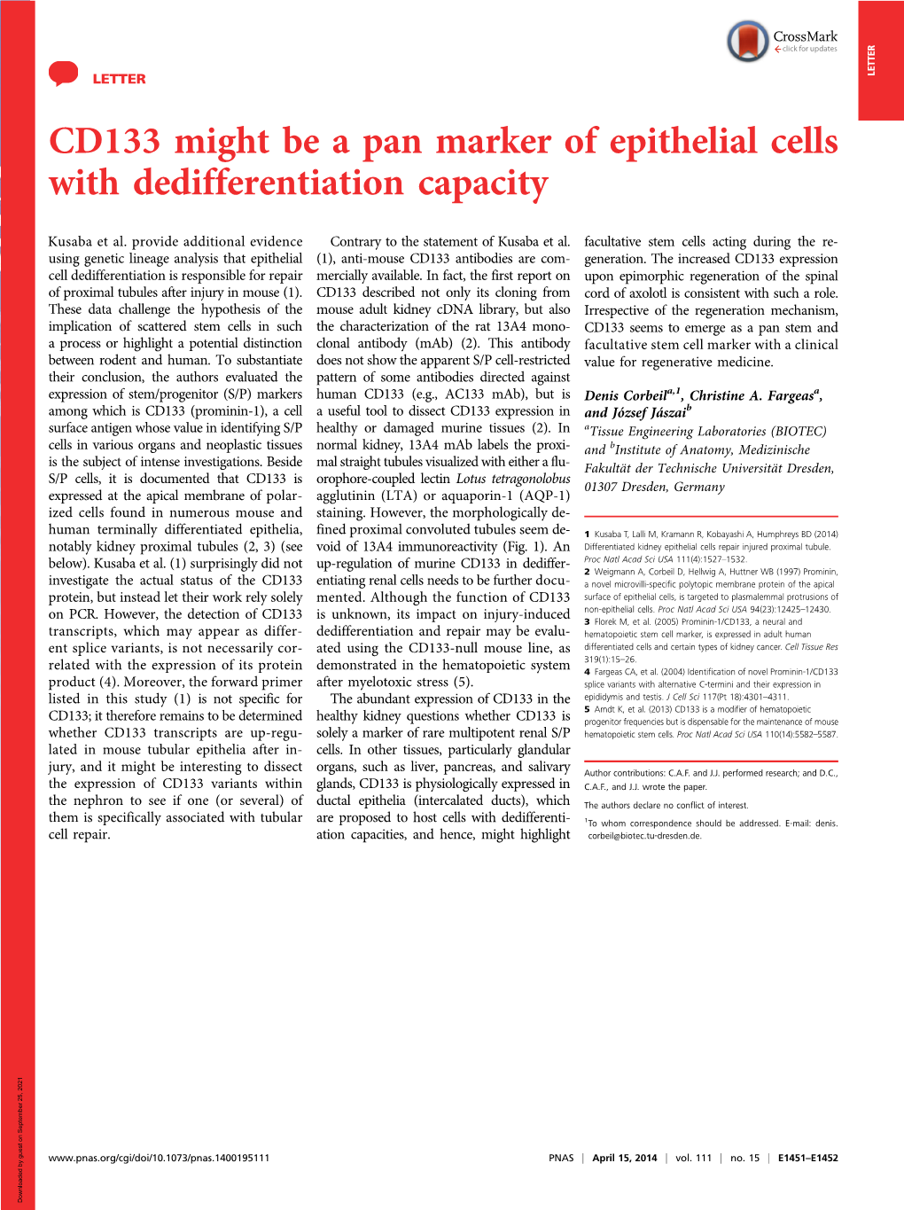 CD133 Might Be a Pan Marker of Epithelial Cells with Dedifferentiation Capacity