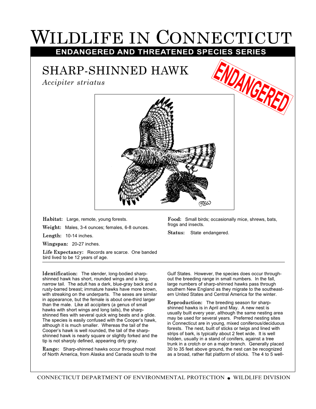 ENDANGERED and THREATENED SPECIES SERIES SHARP-SHINNED HAWK ENDANGERED Accipiter Striatus