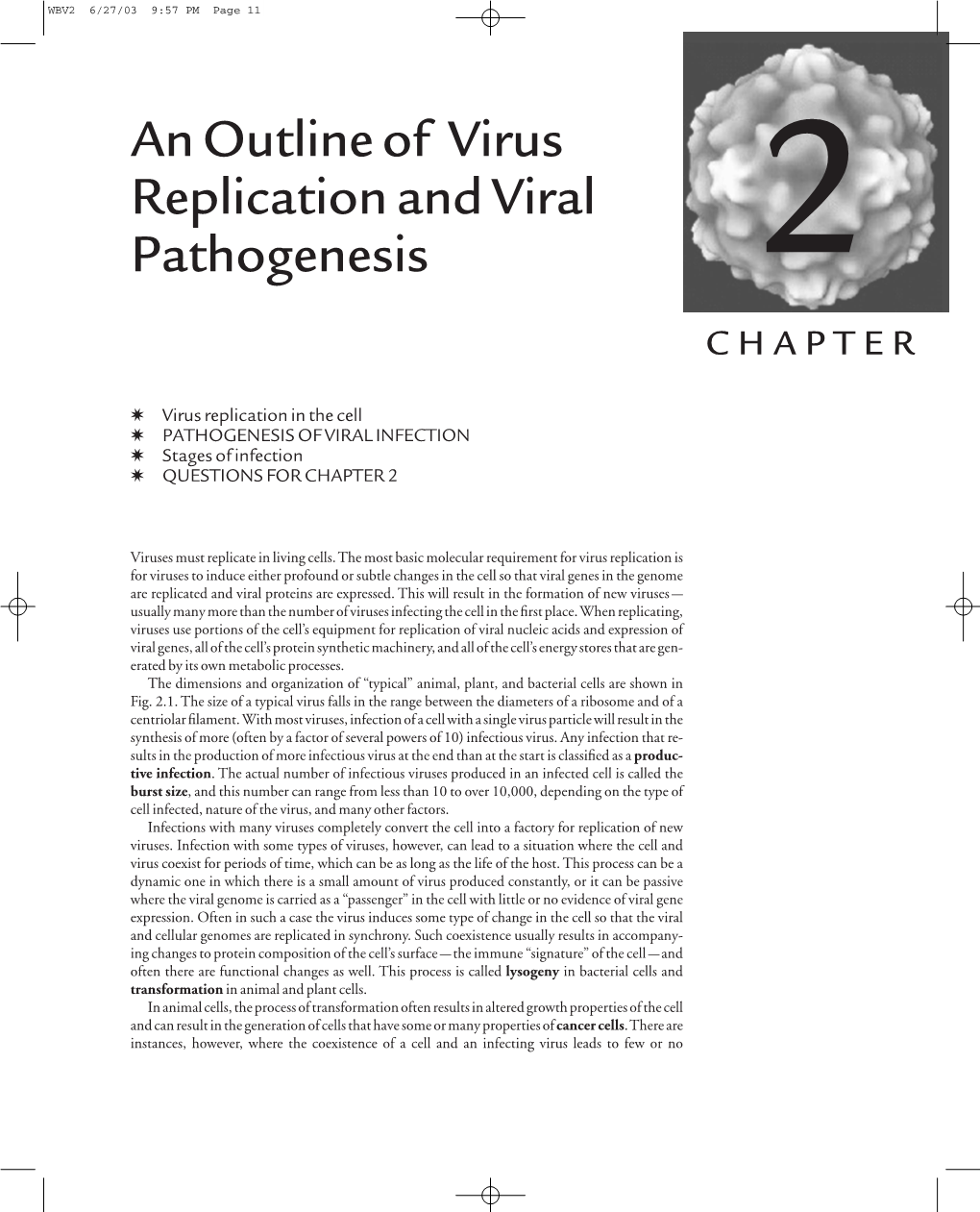 An Outline of Virus Replication and Viral Pathogenesis 2 CHAPTER