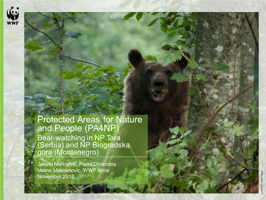 Protected Areas for Nature and People (PA4NP) Bear-Watching in NP Tara (Serbia) and NP Biogradska Gora (Montenegro)