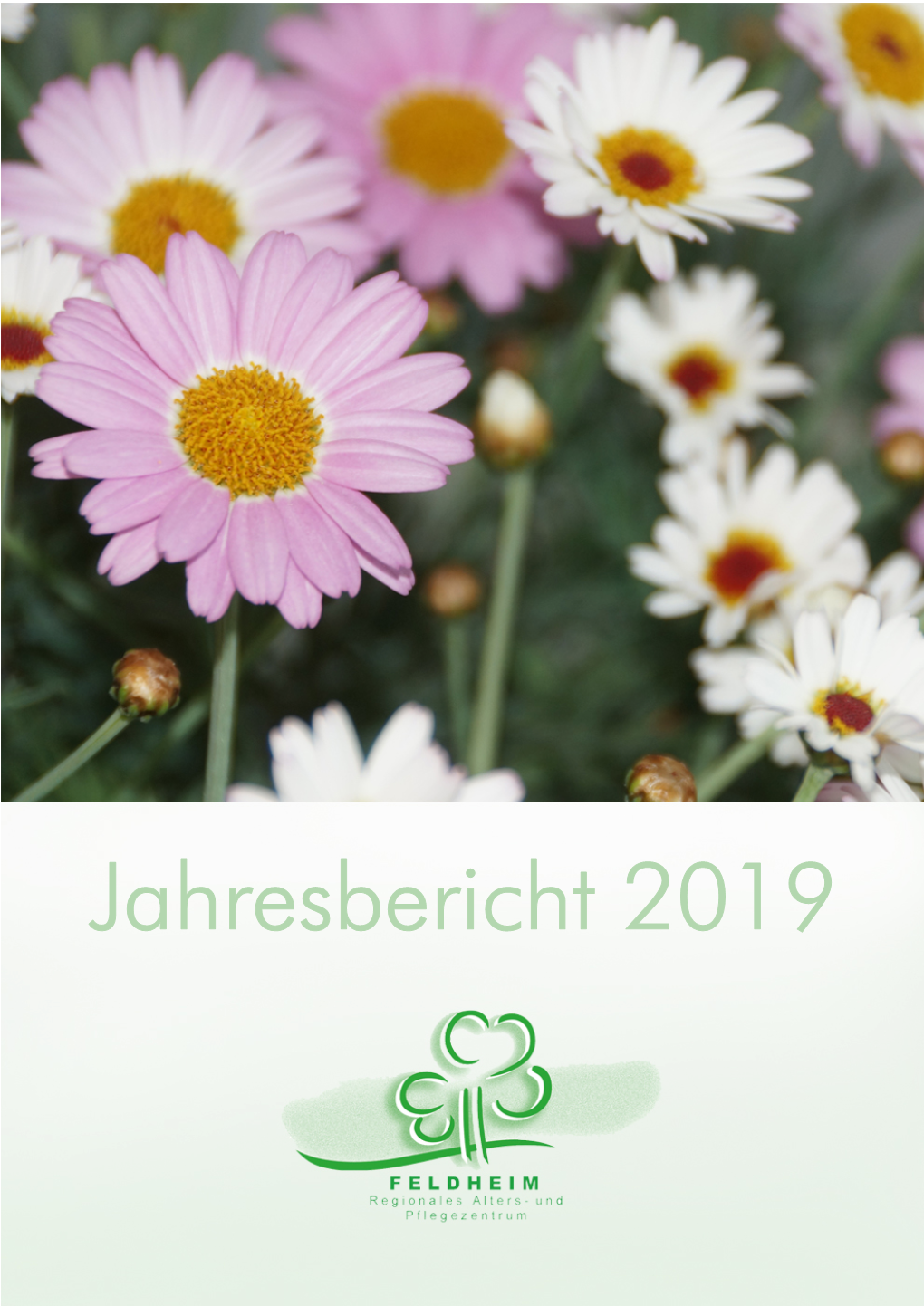 Jahresbericht 2019