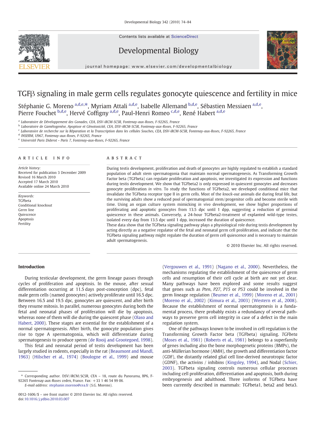 Tgfβ Signaling in Male Germ Cells Regulates Gonocyte Quiescence and Fertility in Mice