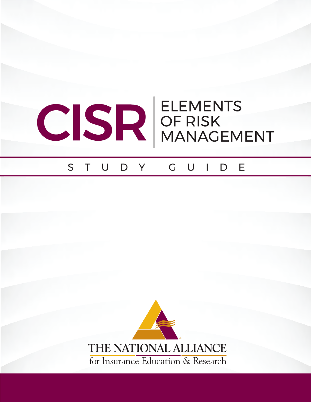 Cisr Elements of Risk Management