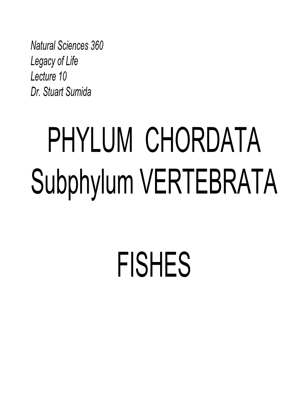 PHYLUM CHORDATA Subphylum VERTEBRATA FISHES