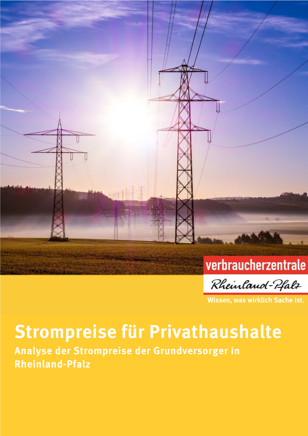 Strompreise Für Privathaushalte