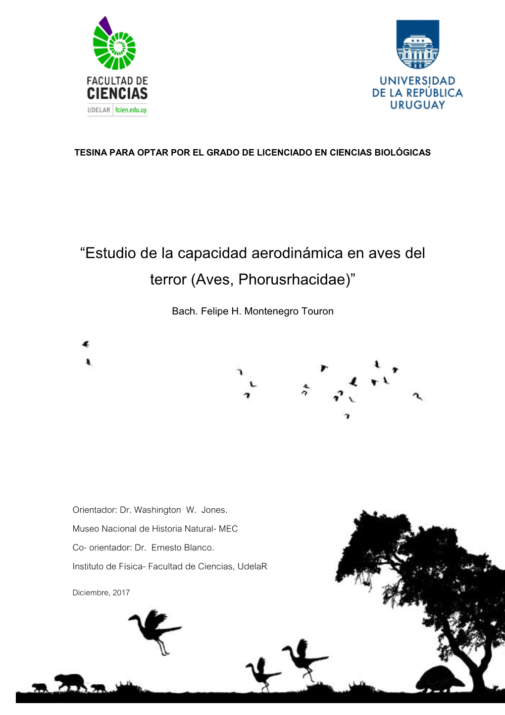 “Estudio De La Capacidad Aerodinámica En Aves Del Terror (Aves, Phorusrhacidae)”
