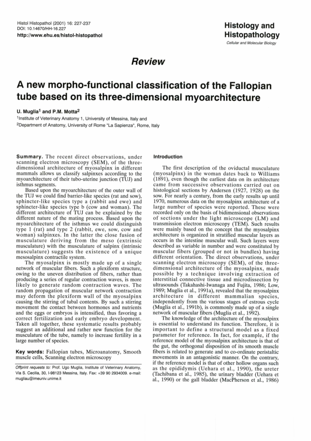 Review a New Morpho-Functional Classification of the Fallopian Tube