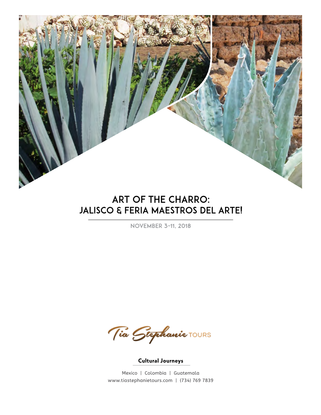 Art of the Charro: Jalisco & Feria Maestros Del Arte!