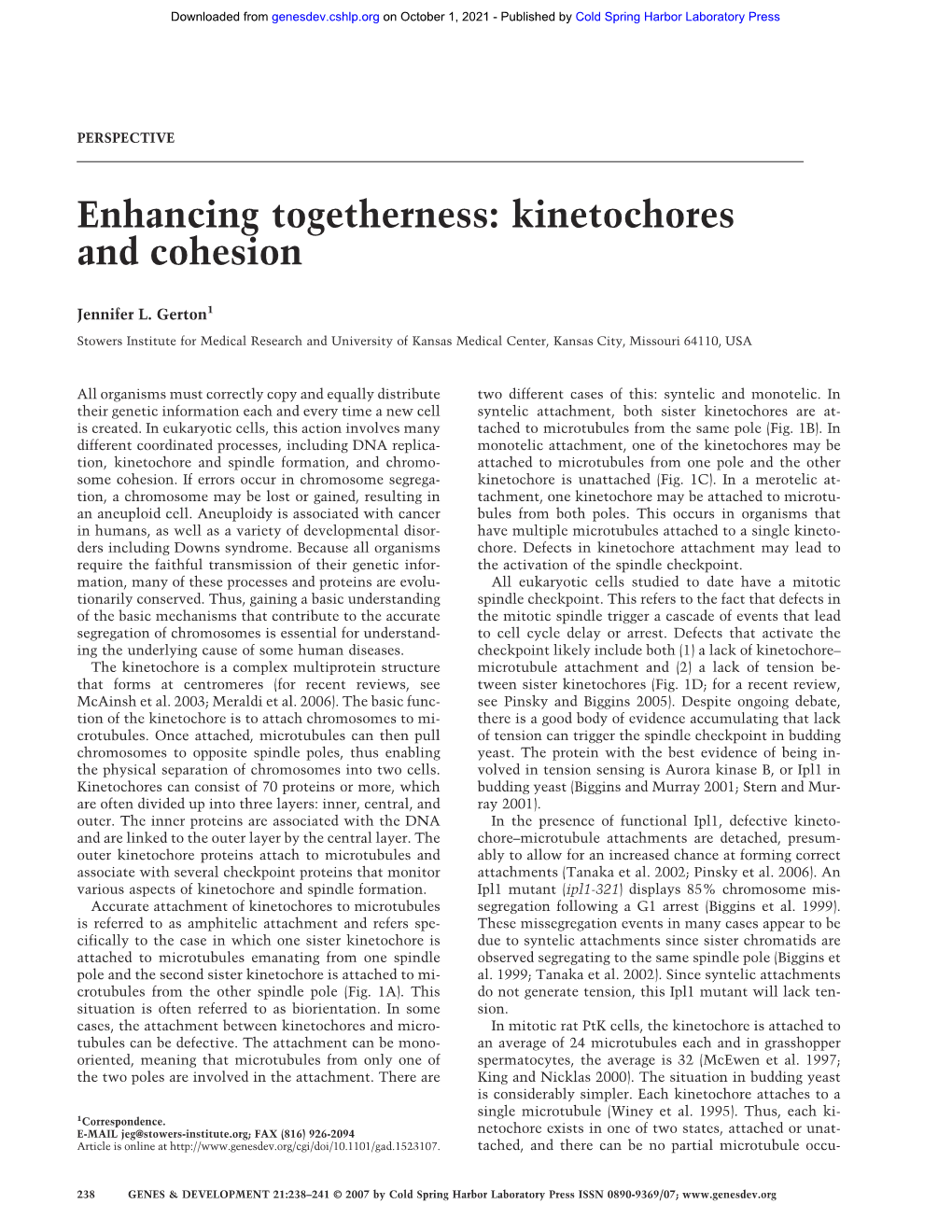 Enhancing Togetherness: Kinetochores and Cohesion